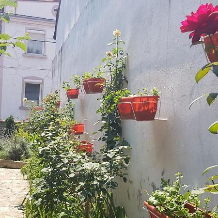 Garden Apartments Belgrado Esterno foto