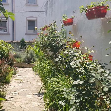Garden Apartments Belgrado Esterno foto