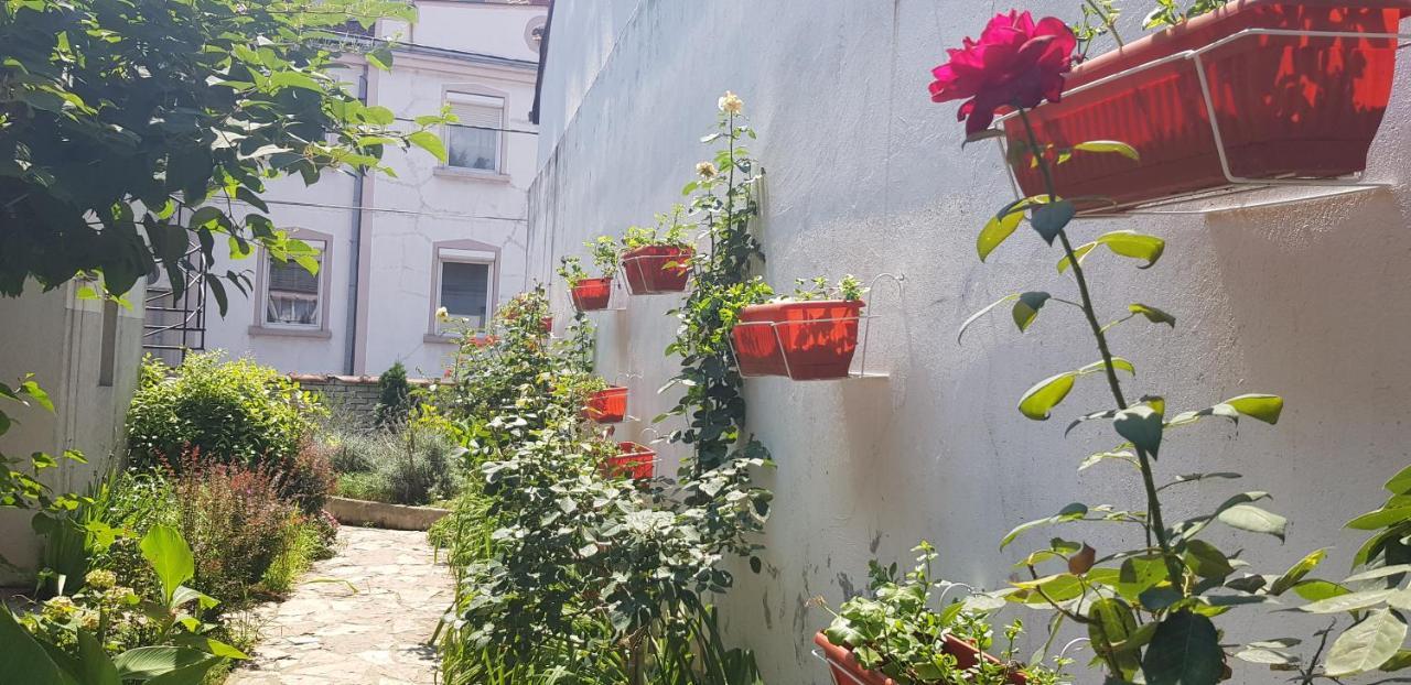 Garden Apartments Belgrado Esterno foto